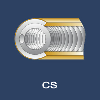HTMS - High Tech Metal Seals - CS type metal seal
